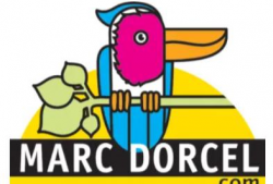 法国啄木鸟视频,揭秘自然界的神奇建筑师